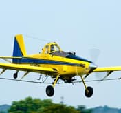 Foto da galeria Vale Aviação