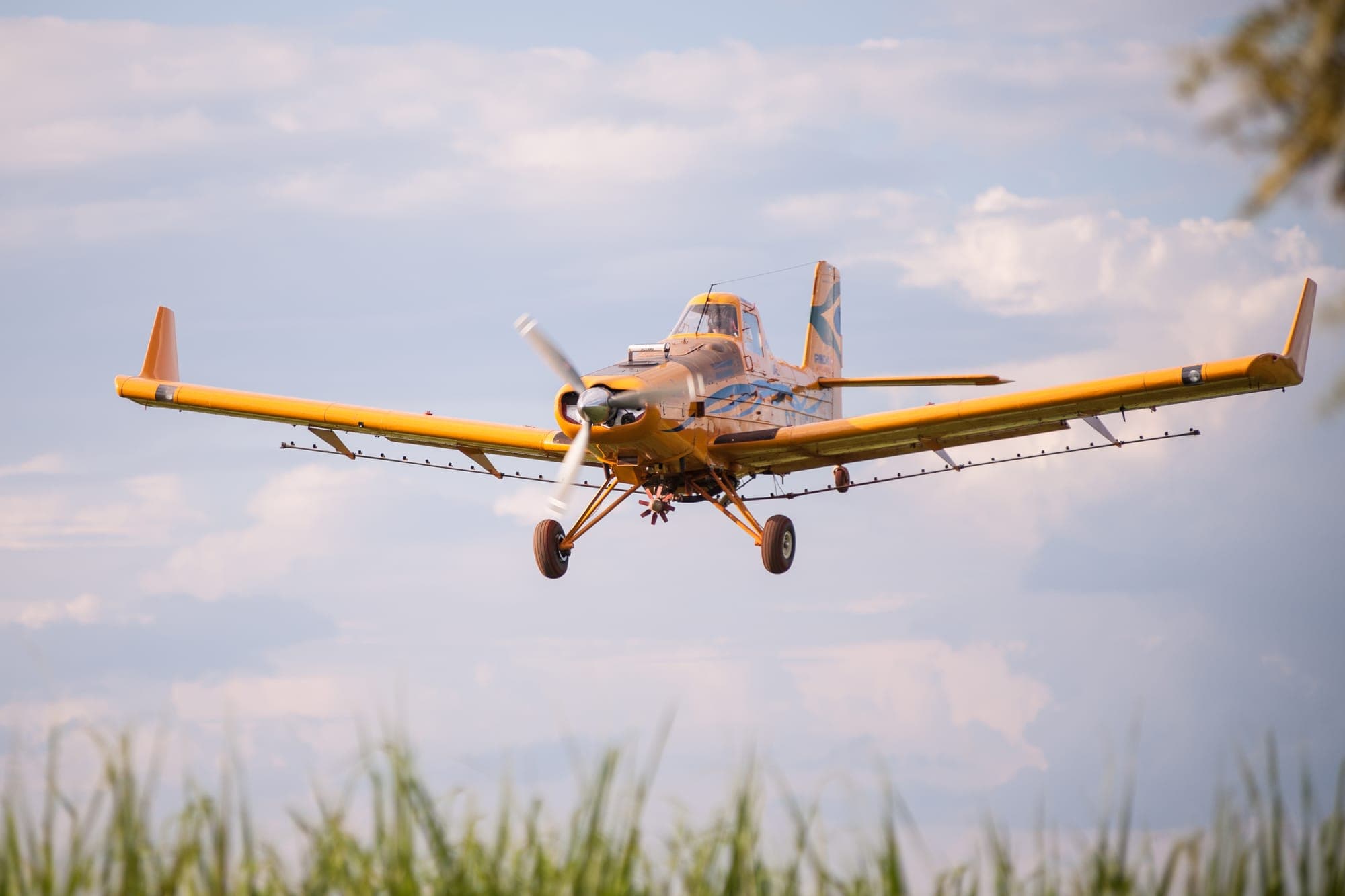 Aeronave em voo baixo sobre a lavoura